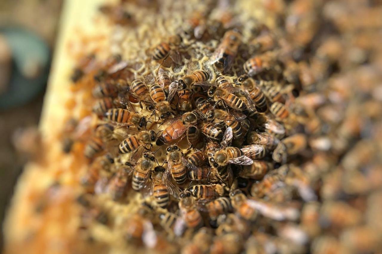 The Hive Stefy'S Apartment Iglesias Esterno foto